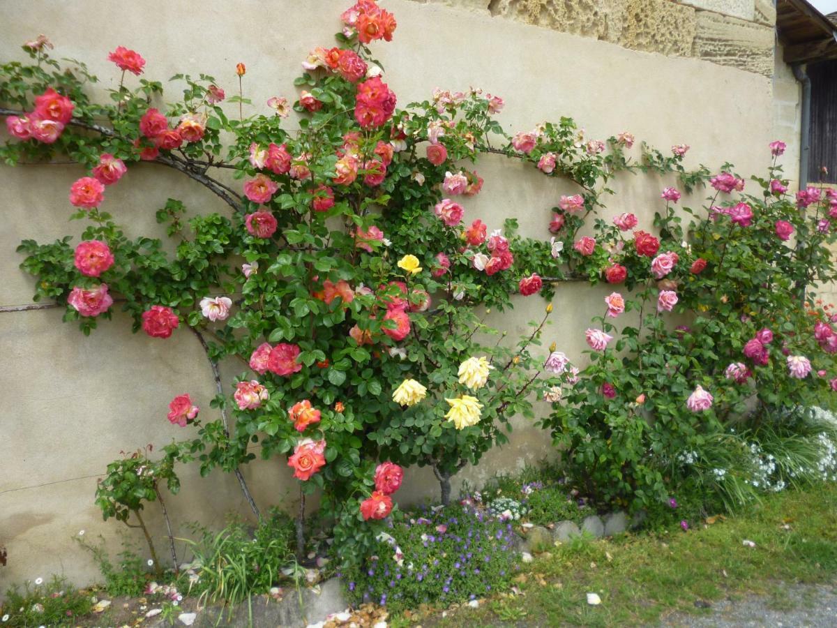 סנט-אמיליון Le Clos Des Rosiers מראה חיצוני תמונה